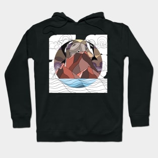 orcas coven Hoodie